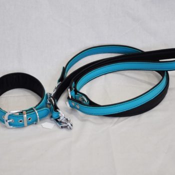 Halsband und Hundeleine Set blau