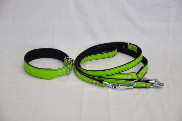 Halsband und Hundeleine Set grün
