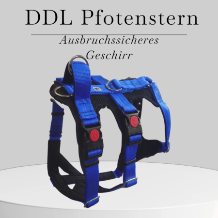 Ausbruchsicheres Geschirr Pro